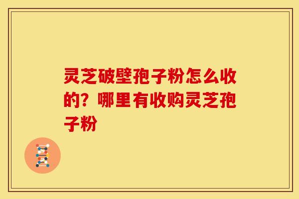灵芝破壁孢子粉怎么收的？哪里有收购灵芝孢子粉