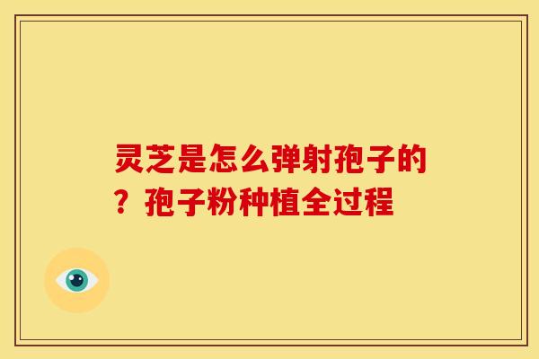 灵芝是怎么弹射孢子的?孢子粉种植全过程