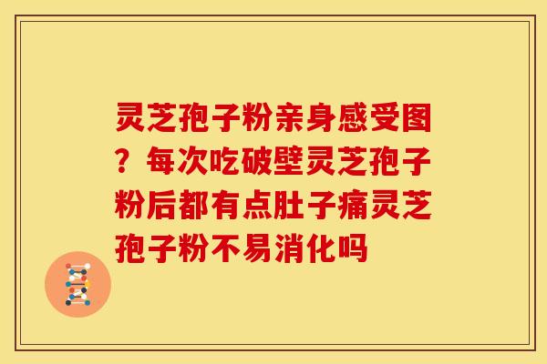 灵芝孢子粉亲身感受图？每次吃破壁灵芝孢子粉后都有点肚子痛灵芝孢子粉不易消化吗