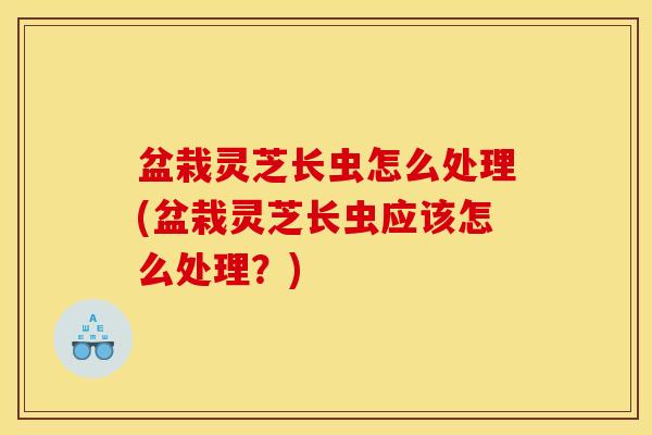 盆栽灵芝长虫怎么处理(盆栽灵芝长虫应该怎么处理?)