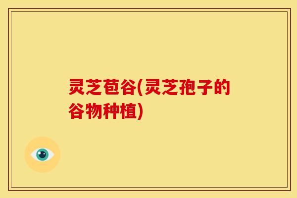 灵芝苞谷(灵芝孢子的谷物种植)