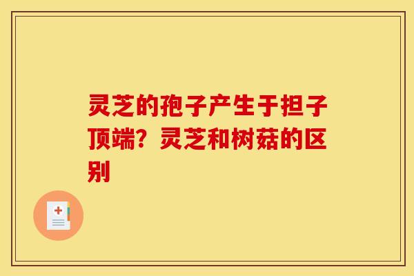 灵芝的孢子产生于担子顶端?灵芝和树菇的区别