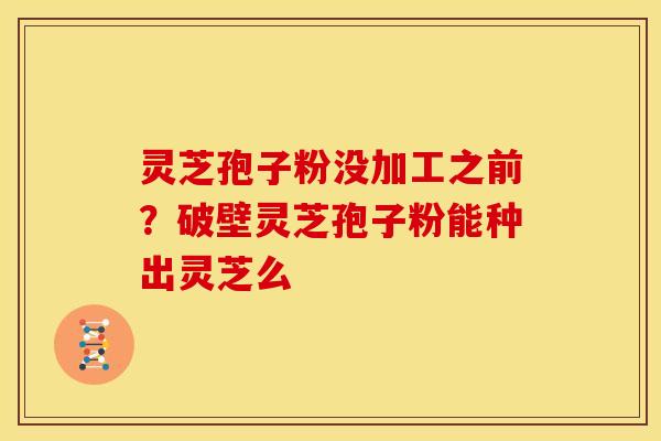灵芝孢子粉没加工之前?破壁灵芝孢子粉能种出灵芝么