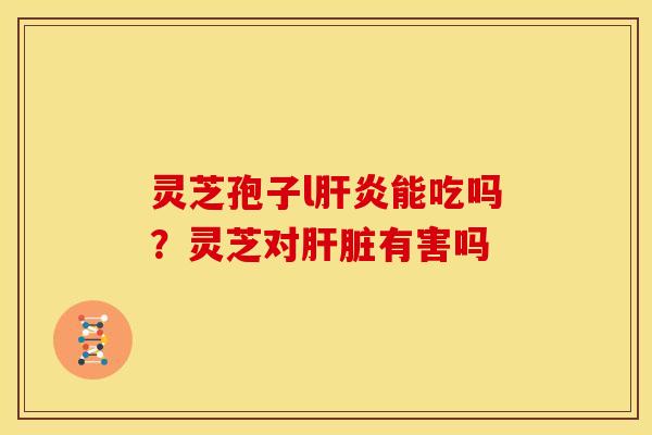 灵芝孢子l肝炎能吃吗?灵芝对肝脏有害吗