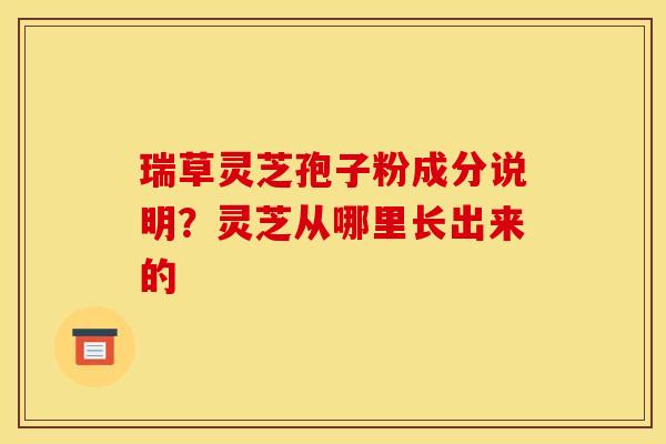 瑞草灵芝孢子粉成分说明?灵芝从哪里长出来的
