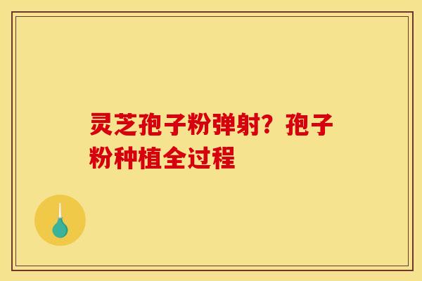 灵芝孢子粉弹射?孢子粉种植全过程
