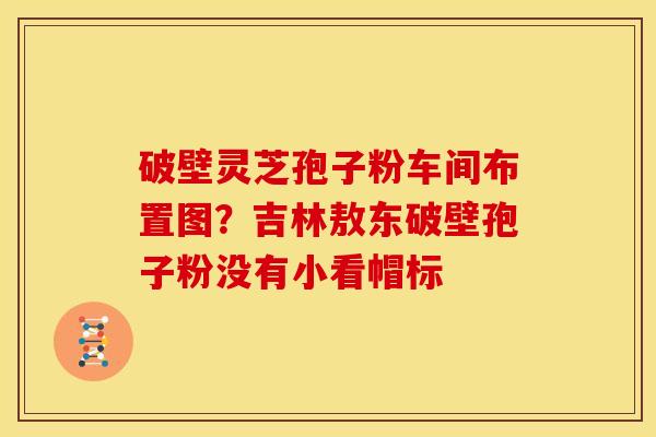 破壁灵芝孢子粉车间布置图?吉林敖东破壁孢子粉没有小看帽标