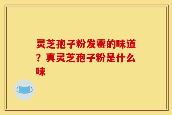 灵芝孢子粉发霉的味道?真灵芝孢子粉是什么味
