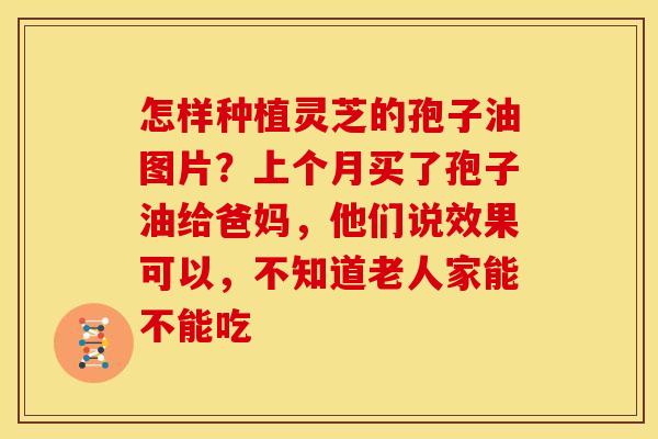 怎样种植灵芝的孢子油图片?上个月买了孢子油给爸妈,他们说效果可以,不知道老人家能不能吃