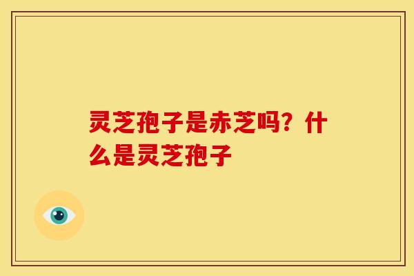 灵芝孢子是赤芝吗?什么是灵芝孢子