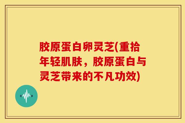 胶原蛋白卵灵芝(重拾年轻肌肤,胶原蛋白与灵芝带来的不凡功效)
