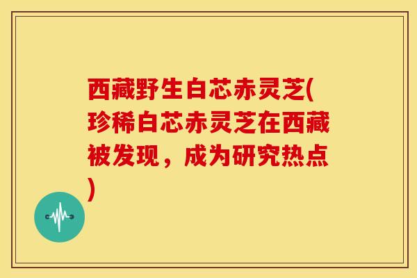 西藏野生白芯赤灵芝(珍稀白芯赤灵芝在西藏被发现,成为研究热点)