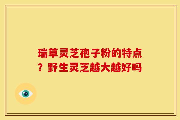 瑞草灵芝孢子粉的特点?野生灵芝越大越好吗