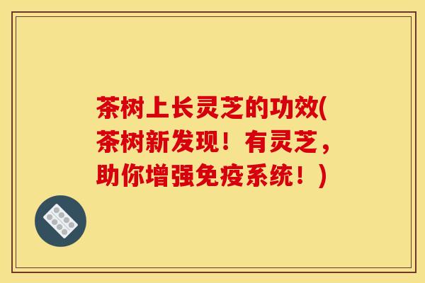 茶树上长灵芝的功效(茶树新发现！有灵芝，助你增强免疫系统！)