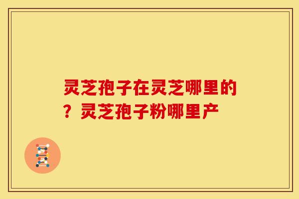 灵芝孢子在灵芝哪里的？灵芝孢子粉哪里产