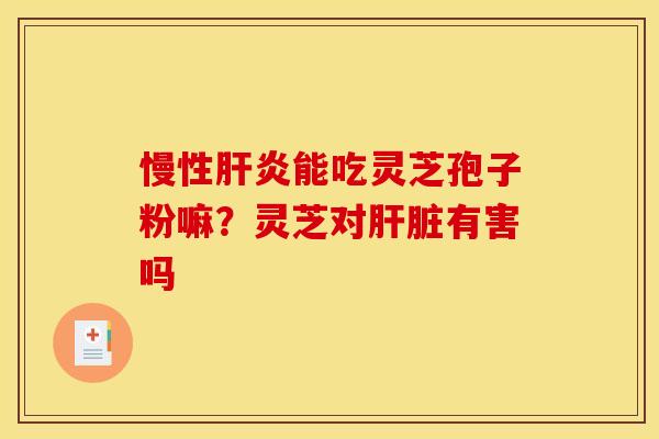 慢性肝炎能吃灵芝孢子粉嘛?灵芝对肝脏有害吗