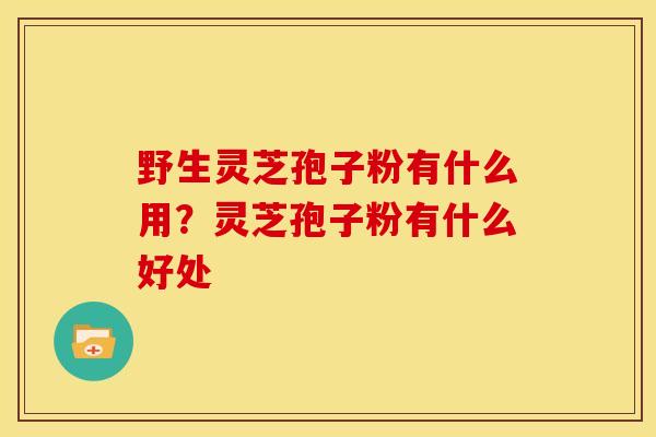 野生灵芝孢子粉有什么用?灵芝孢子粉有什么好处