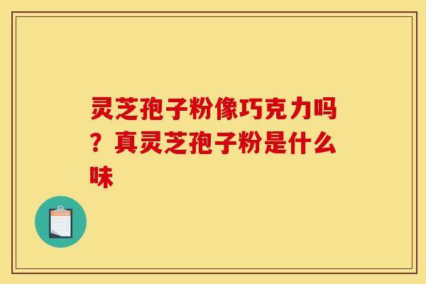 灵芝孢子粉像巧克力吗?真灵芝孢子粉是什么味