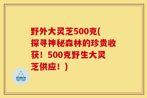 野外大灵芝500克(探寻神秘森林的珍贵收获！500克野生大灵芝供应！)