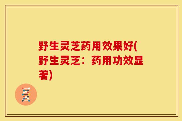 野生灵芝药用效果好(野生灵芝:药用功效显著)
