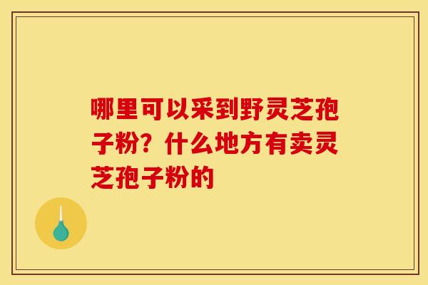 哪里可以采到野灵芝孢子粉?什么地方有卖灵芝孢子粉的