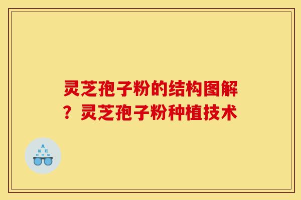 灵芝孢子粉的结构图解?灵芝孢子粉种植技术