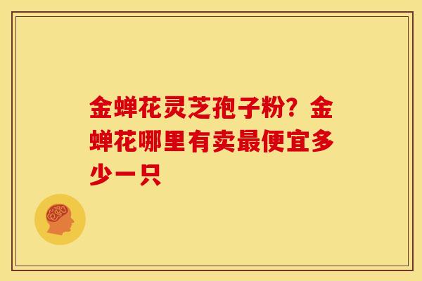 金蝉花灵芝孢子粉？金蝉花哪里有卖最便宜多少一只