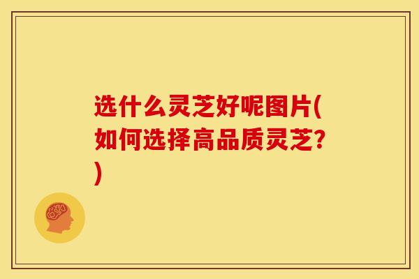 选什么灵芝好呢图片(如何选择高品质灵芝?)