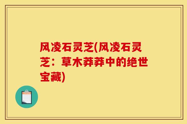风凌石灵芝(风凌石灵芝：草木莽莽中的绝世宝藏)