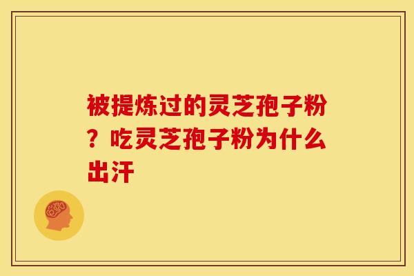 被提炼过的灵芝孢子粉?吃灵芝孢子粉为什么出汗