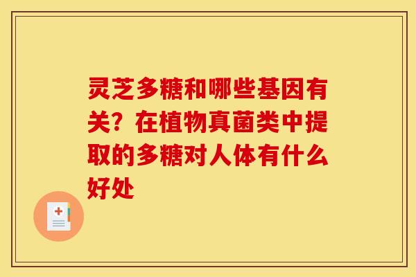 灵芝多糖和哪些基因有关？在植物真菌类中提取的多糖对人体有什么好处