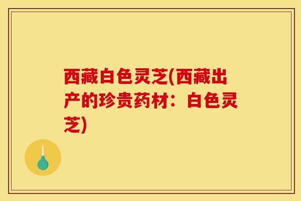西藏白色灵芝(西藏出产的珍贵药材:白色灵芝)