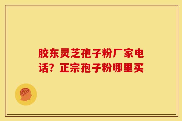 胶东灵芝孢子粉厂家电话？正宗孢子粉哪里买