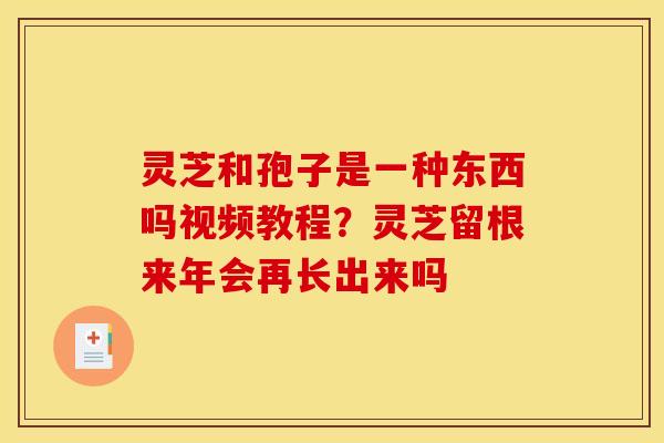 灵芝和孢子是一种东西吗视频教程?灵芝留根来年会再长出来吗