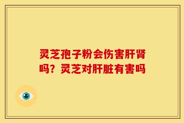 灵芝孢子粉会伤害肝肾吗？灵芝对肝脏有害吗