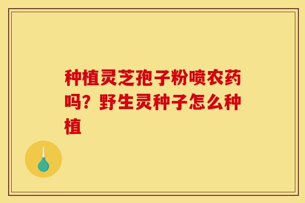 种植灵芝孢子粉喷农药吗？野生灵种子怎么种植