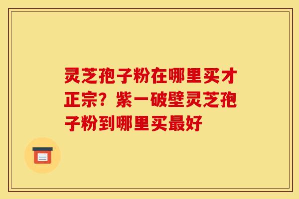 灵芝孢子粉在哪里买才正宗？紫一破壁灵芝孢子粉到哪里买最好
