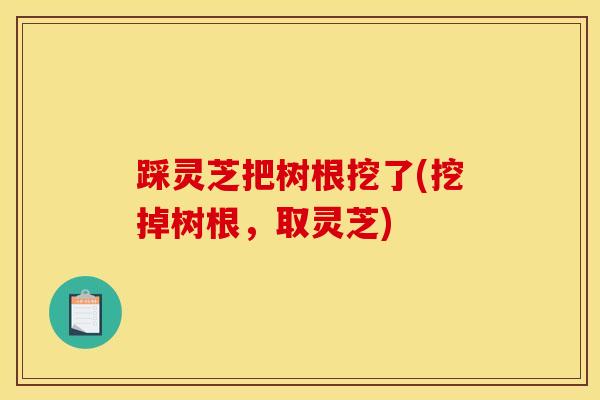 踩灵芝把树根挖了(挖掉树根，取灵芝)