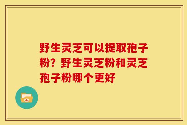 野生灵芝可以提取孢子粉?野生灵芝粉和灵芝孢子粉哪个更好