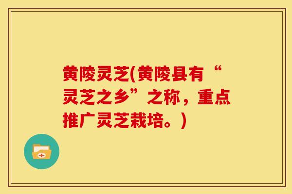 黄陵灵芝(黄陵县有“灵芝之乡”之称,重点推广灵芝栽培。)