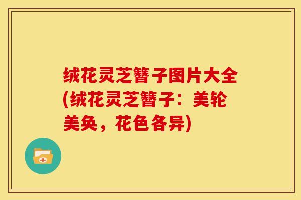 绒花灵芝簪子图片大全(绒花灵芝簪子：美轮美奂，花色各异)