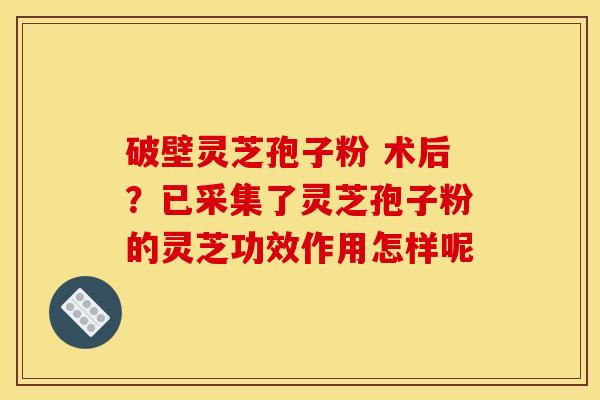 破壁灵芝孢子粉 术后?已采集了灵芝孢子粉的灵芝功效作用怎样呢