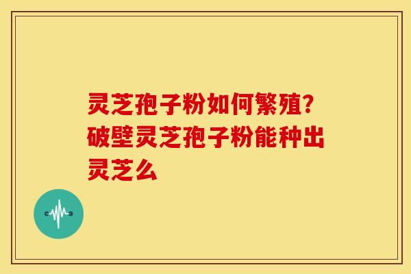 灵芝孢子粉如何繁殖?破壁灵芝孢子粉能种出灵芝么