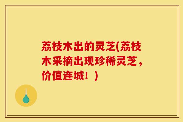 荔枝木出的灵芝(荔枝木采摘出现珍稀灵芝，价值连城！)