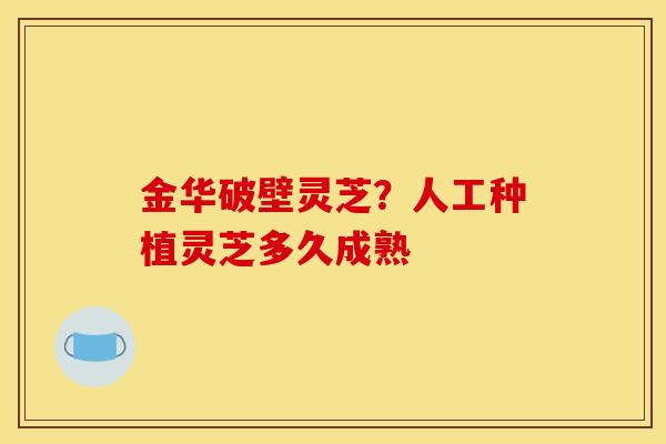 金华破壁灵芝?人工种植灵芝多久成熟