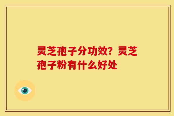 灵芝孢子分功效?灵芝孢子粉有什么好处