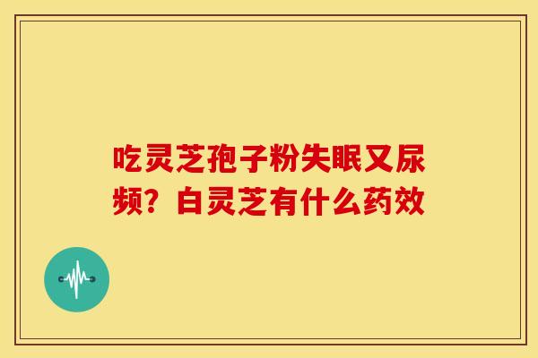吃灵芝孢子粉失眠又尿频?白灵芝有什么药效