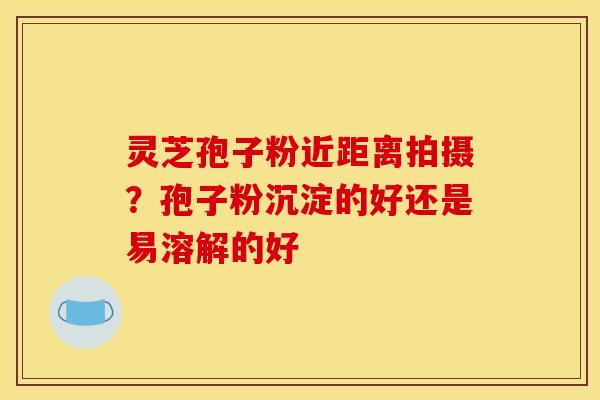 灵芝孢子粉近距离拍摄?孢子粉沉淀的好还是易溶解的好