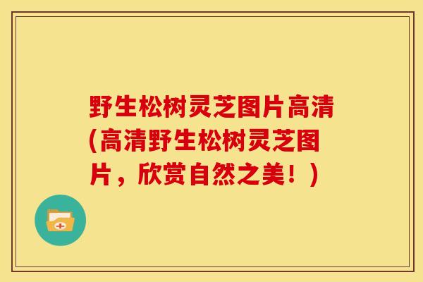 野生松树灵芝图片高清(高清野生松树灵芝图片,欣赏自然之美!)