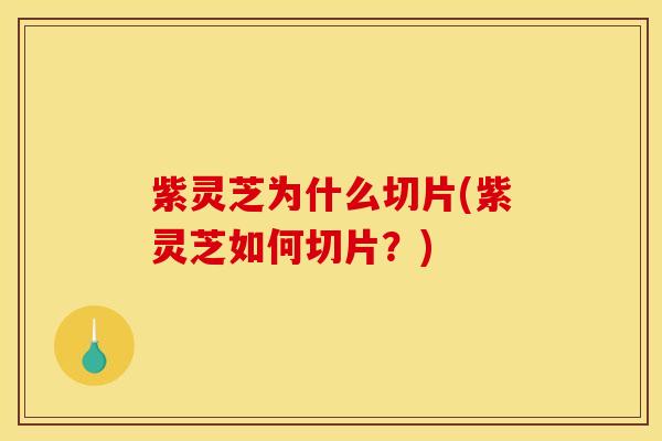 紫灵芝为什么切片(紫灵芝如何切片？)